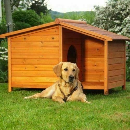 Cuccia legno per - per, cani