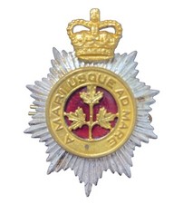 CANADIAN GUARDS CAP BADGE A