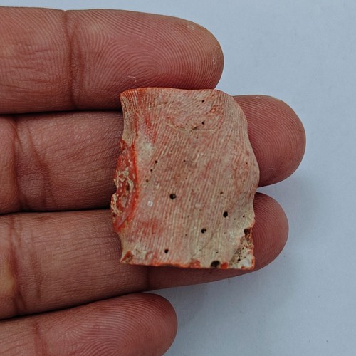 100 corallo rosso naturale - 100%,