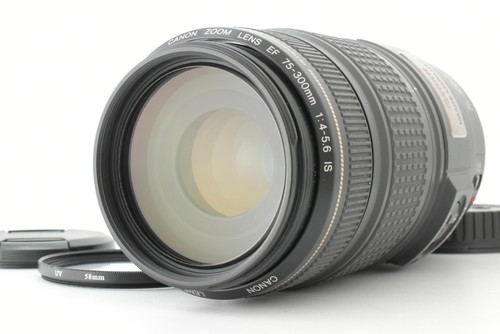 Canon 300mm 5 - ef, 75-300mm