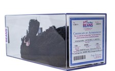 Shampoo autenticato (barboncino nero) - MWMT MQ Ty Beanie Baby (AP 11163)