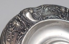 Raro Elegante