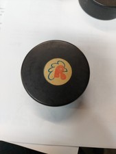 Gioco ufficiale Rhode Island