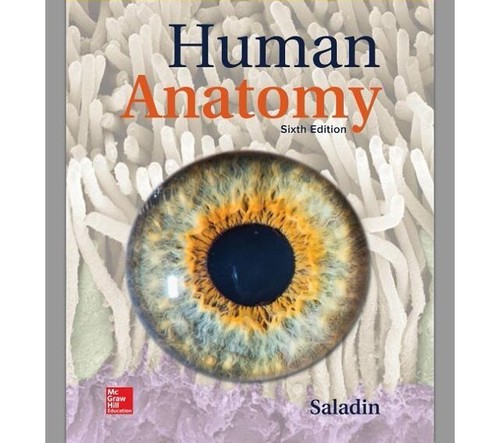 Human anatomy sixth - anatomy",