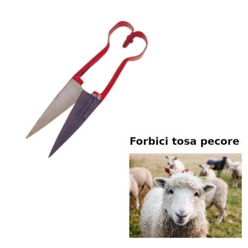Tosatrice manuale ovini fobici