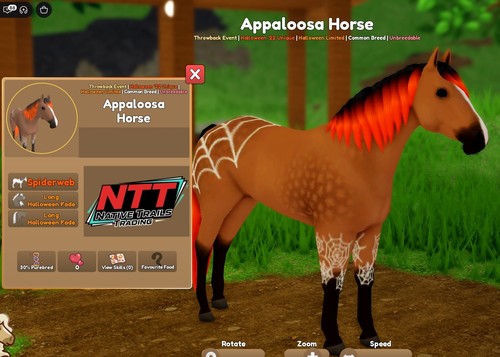 Wild horse islands evento - wild,