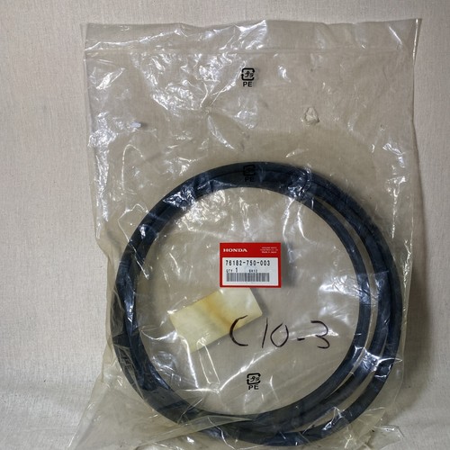 Cinghia ponte honda oem - ponte,
