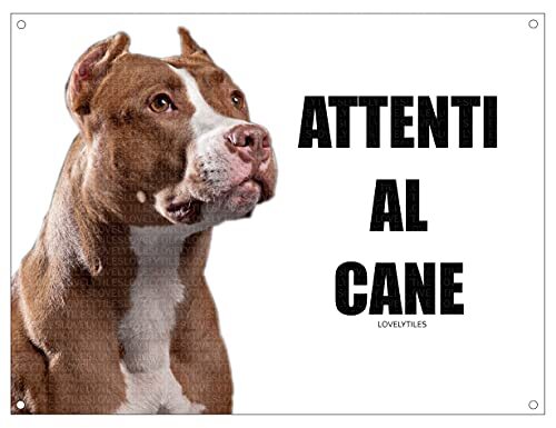 Pitbull attenti cane mod 1 - pitbull, al