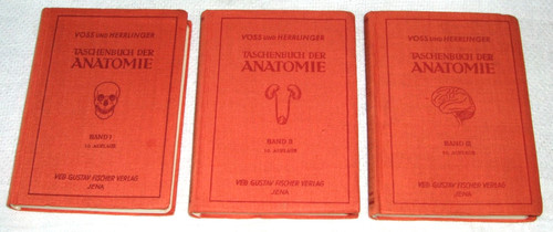 Voss herrlinger libro - herrlinger,