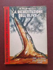 RICOSTRUZIONE DELL'OLIVO E