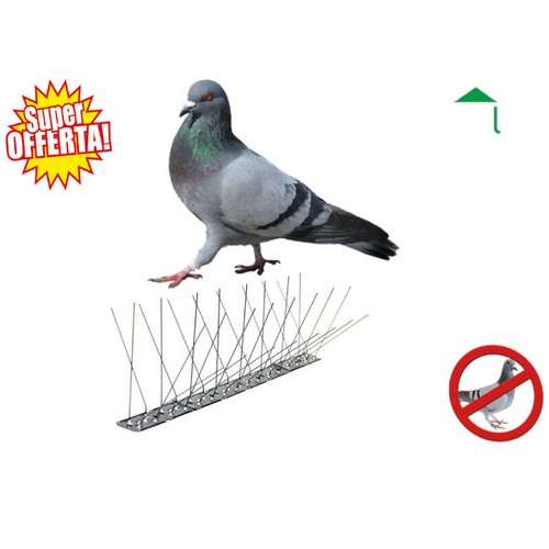 Dissuasori per piccioni
