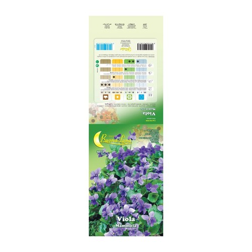 Semi garden viola - viola, mammola-