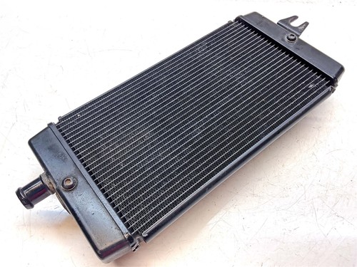 Radiatore nero triumph - radiatore,