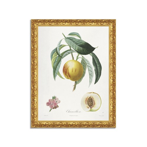 Quadro stampa tela effetto - stampa,
