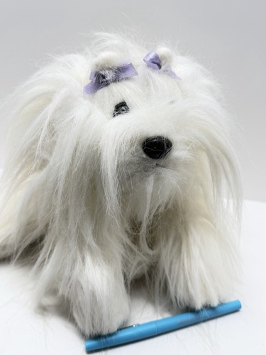 Animal alley maltese cucciolo - animal,