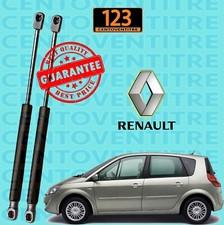 Coppia Molle aGas Pistoncini