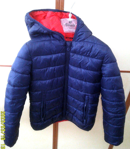 Giubbotto piumino terranova - piumino,