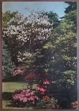 ISOLA MADRE - LAGO MAGGIORE