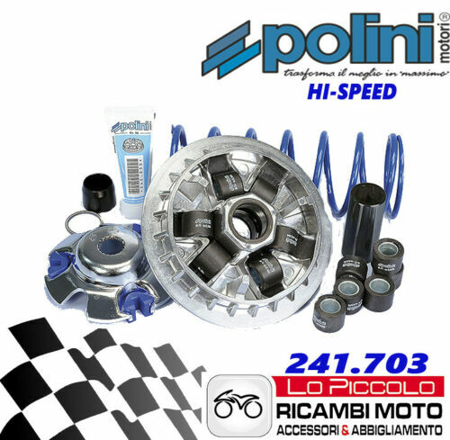241 703 variatore speed - 241.703,