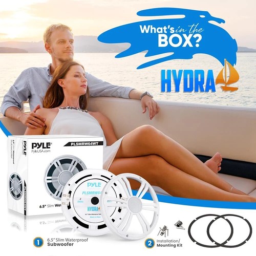 Pyle plsmrw64wt subwoofer - 1,