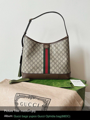 Gucci beige brown - gucci, web