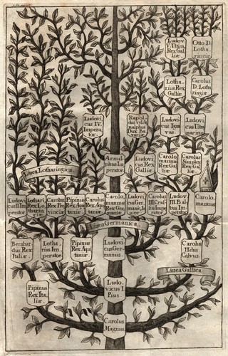 Albero genealogico carolingi - albero,