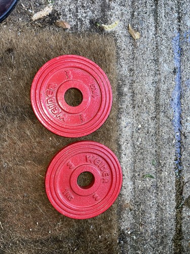 Weider 2x1kg piastre peso - weider, di