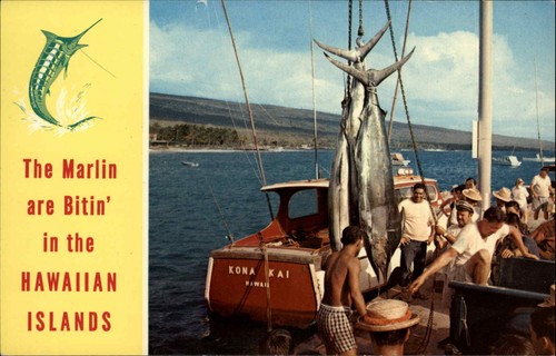 Hawaii marlin pesca cattura - hawaii,