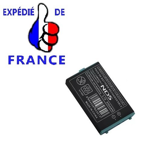 Batterie pour nintendo fat - batterie, ds