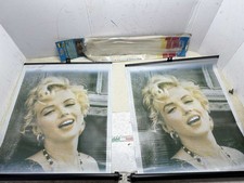 COPPIA TENDA TENDINA MARILYN MONROE AUTO CAMPER 47 CM X 50 VEDI DESCRIZIONE (...