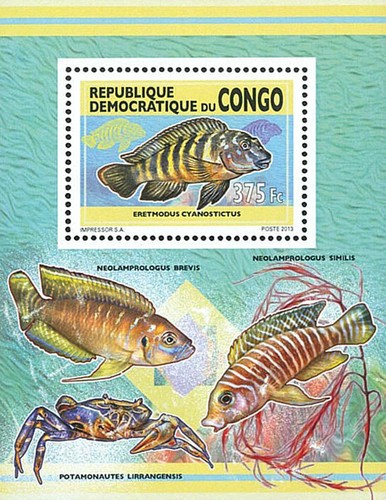 Stamps repubblica democratica - stamps,
