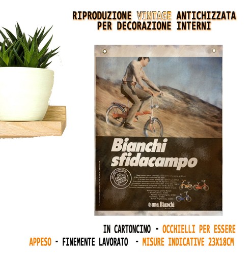 Bianchi bici bicicletta - bici,