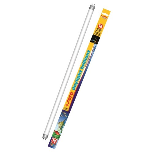 Neon acquario sera - neon, t8