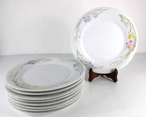 Set piatti piani grandi - piatti,
