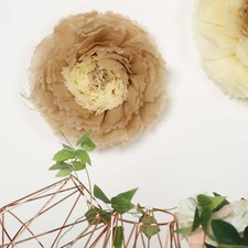Confezione 24 Fiori Garofano