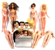 Lotto Bambole Barbie Bild
