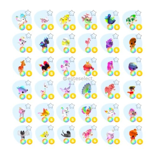 Overlook bay godly pet - bay, |