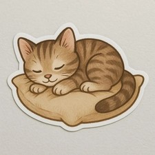 Gattino che dorme su cuscino