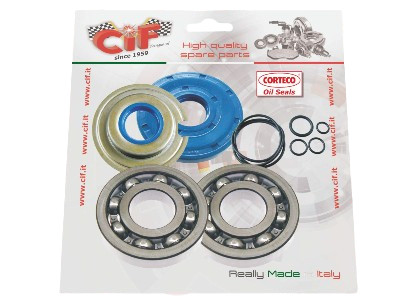 Kit cuscinetti revisione - cuscinetti,