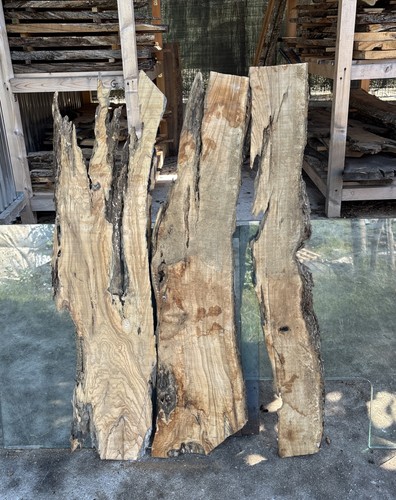 Tavole legno ulivo 3 - tavole, di