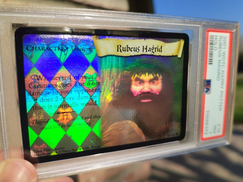 2001 wotc harry potter - harry, tcg