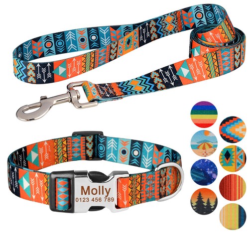Set collare guinzaglio cane - collare,