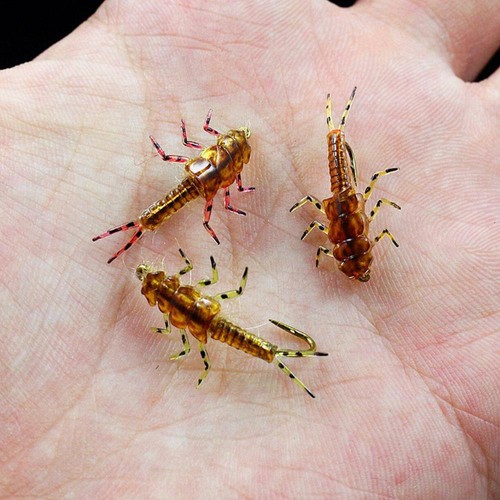 Pezzi esche ninfa pesca a - 30,