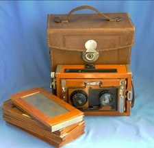 Deckrullo stereo tropical 6x13,Contessa Nettel