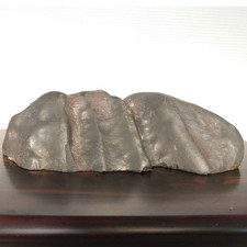 Suiseki Pietra Osservazione
