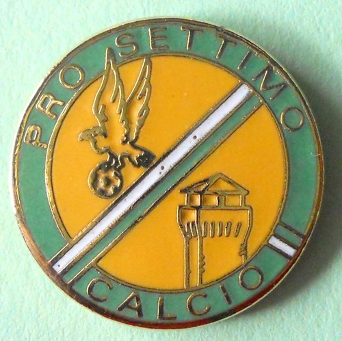 Distintivo spilla pin - distintivo,