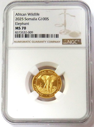 2025 oro somalia 100 scellini - somalia,