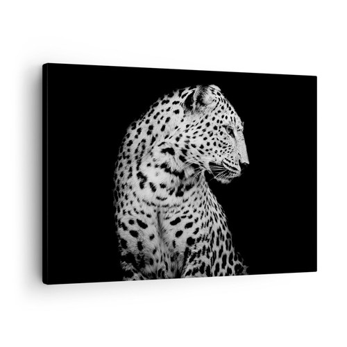 Quadro tela 70x50cm - su,