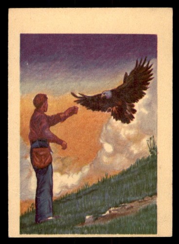 1956 gum adventure as - gum,
