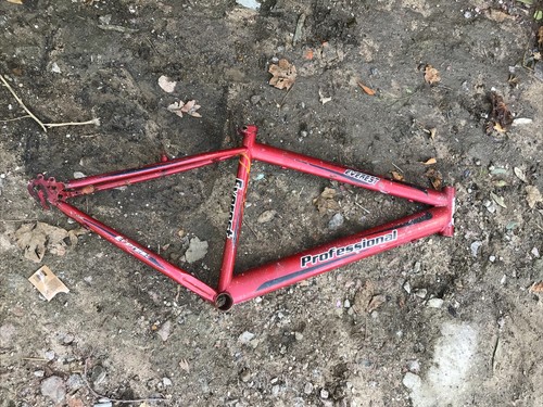 Everest professional bike - everest,